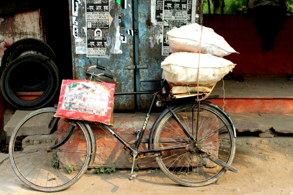 India, Jaipur, Baggage