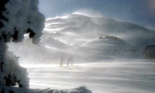three man walking in snow covered mountain photo