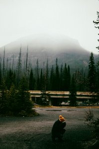 person near foggy mountain with trees photo