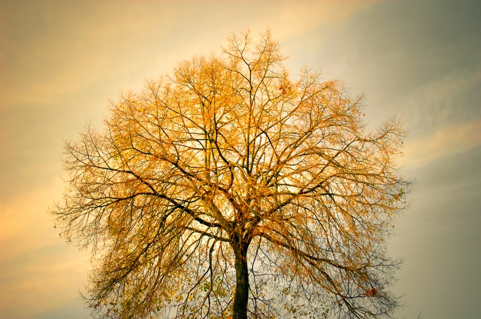 Cardiff, United kingdom, Fall