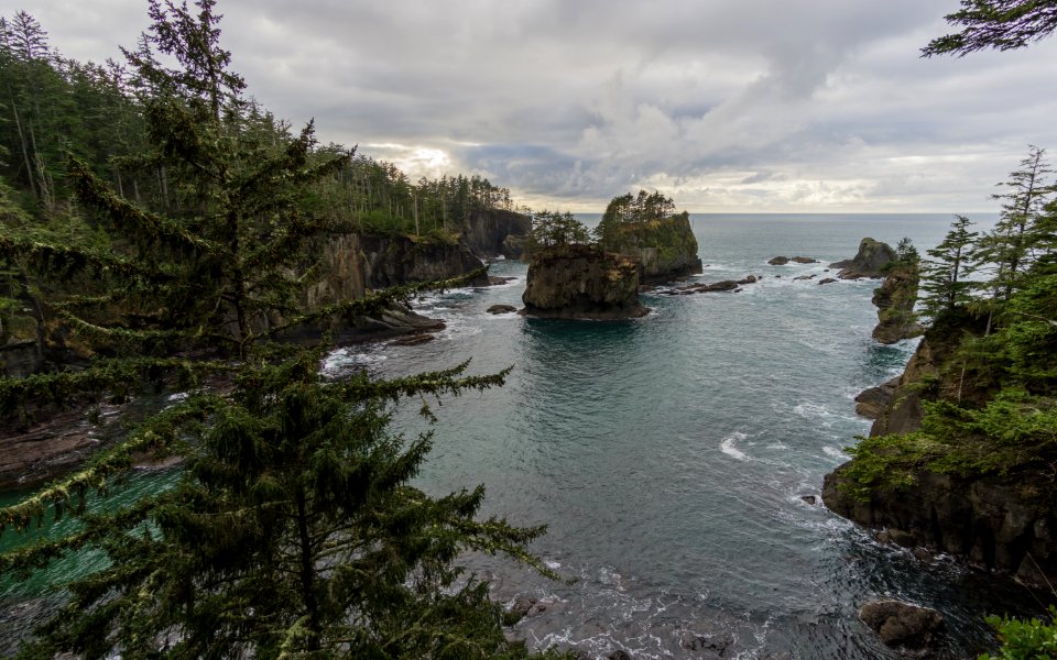 Ocean, Nature, Cape flattery