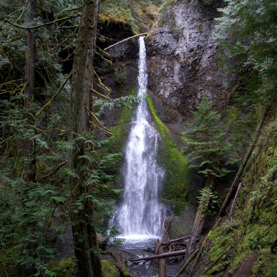 Marymere falls, United states, Water