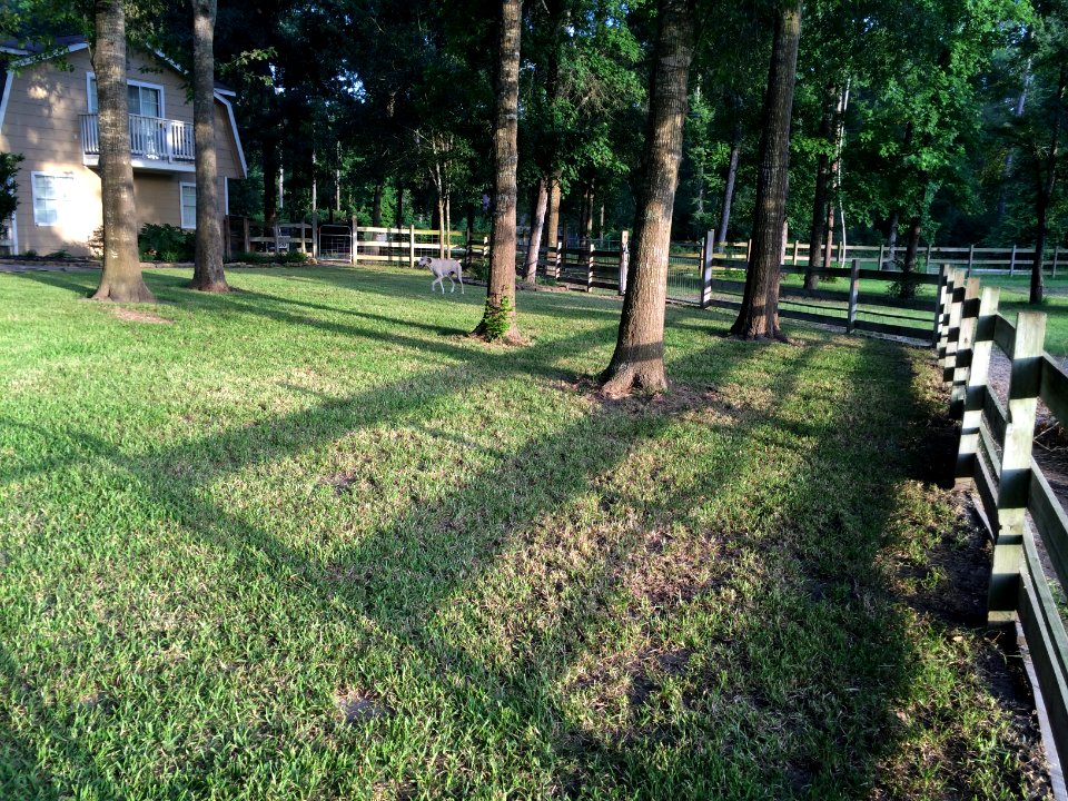 Conroe, Texas, United states