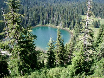 Mount rainier national park, United states, Travel photo