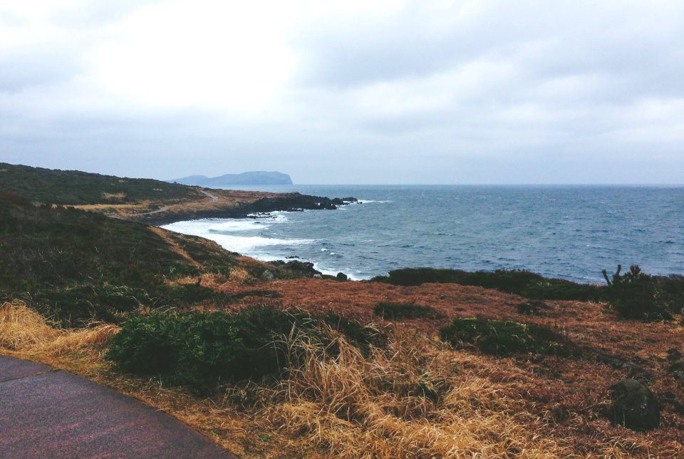 road near grass and body of water during daytime