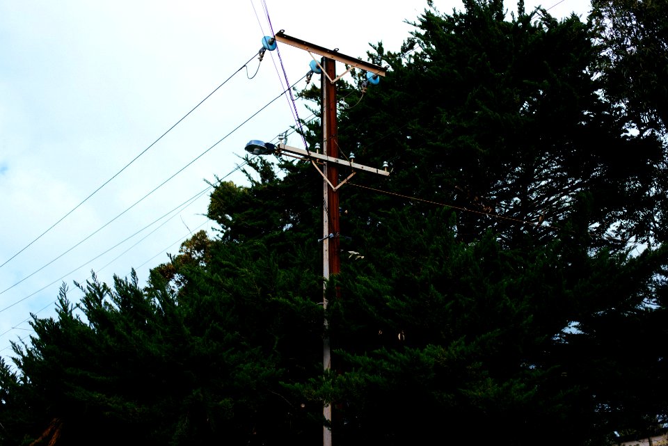 Lightpost, Light, Trees