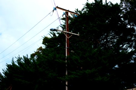Lightpost, Light, Trees
