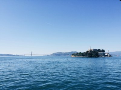 Agave trail, San francisco, Ca 94133
