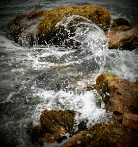 Yellowtail dam, Fort smith, United states