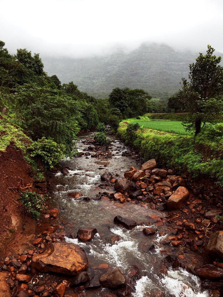 India, Varak, Maharashtra