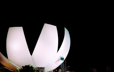 white flower form building at night photo