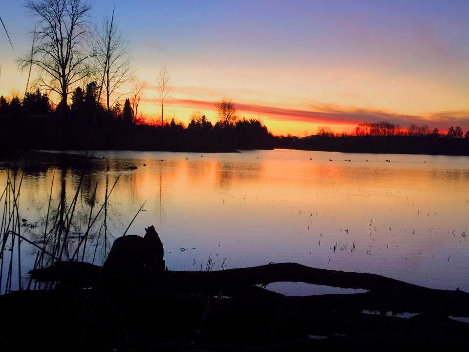 Lake sunset, Water, Shadow photo