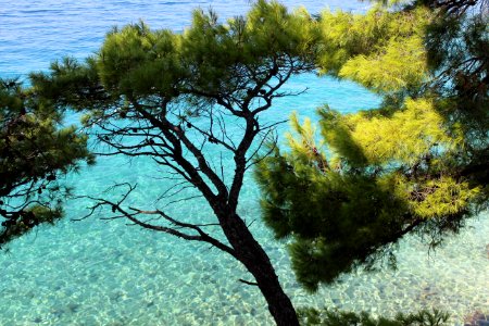 Brela, Croatia, Fresh