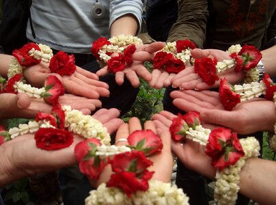 Flower power group