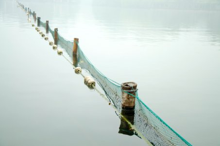 Hangzhou, China, Calm photo