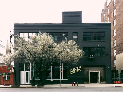 black building under white sky photo