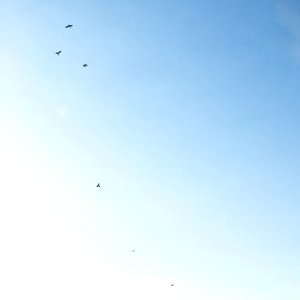Minimal, Blue, Sky