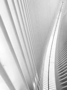 Line, Abstract, World trade center photo
