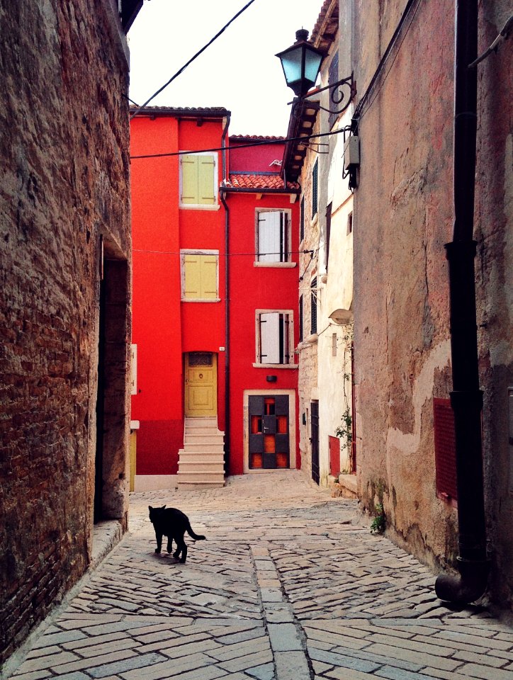Croatia, Rovinj, Culture