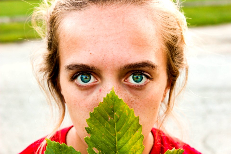 Ohio, United states, Leaf