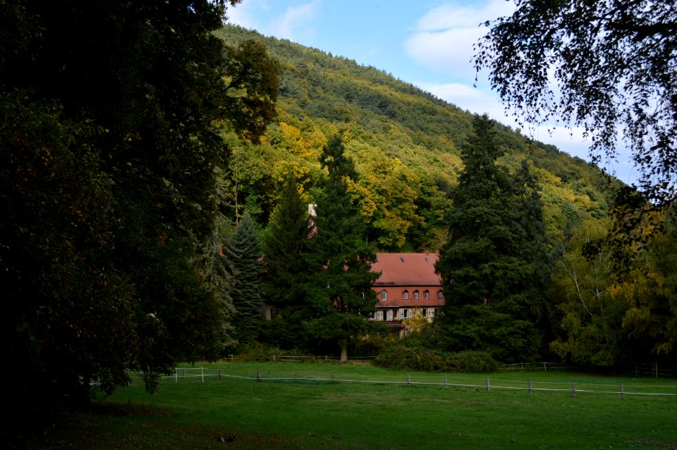 Germany, Palatinate, Fall