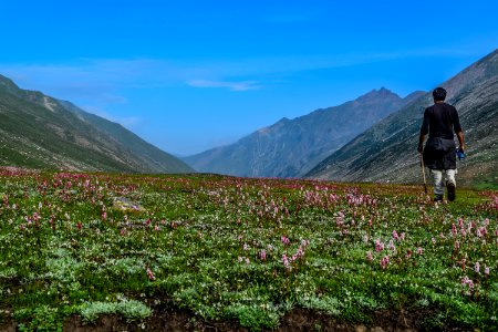 Dudipat lake, Pakistan, Grass