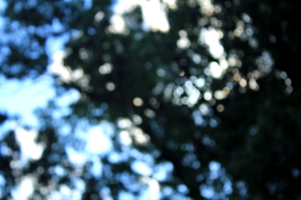 Blur, Arkansas, United states