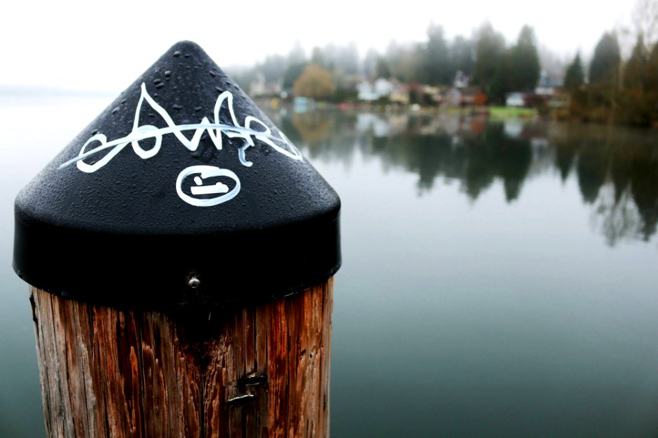 Idylwood park, Redmond, United states