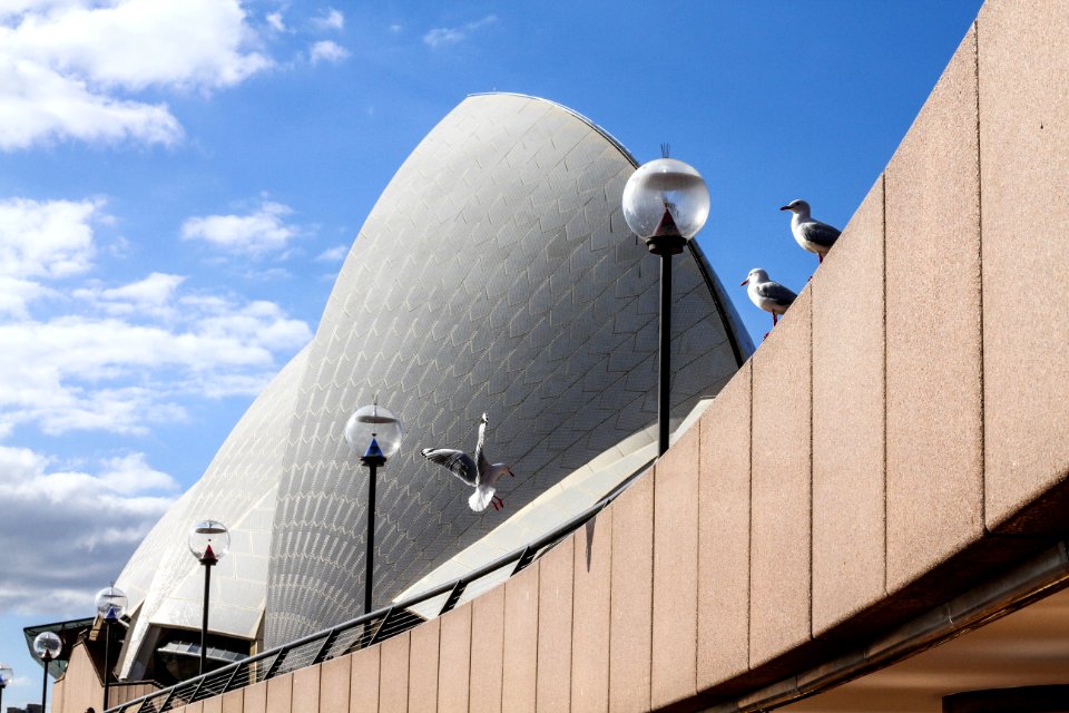 Sydney, Australia, Roof