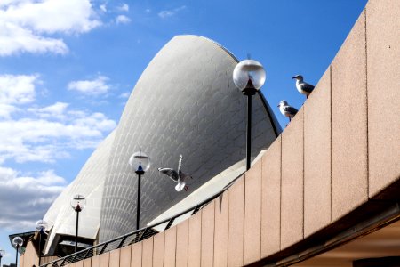 Sydney, Australia, Roof
