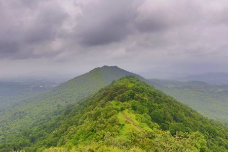 Karnala bird sanctuary, Karnala, India photo