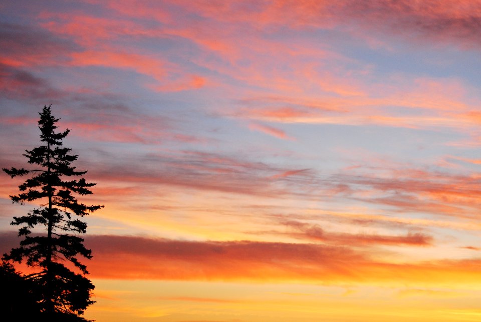 Acadia national park, United states, Light