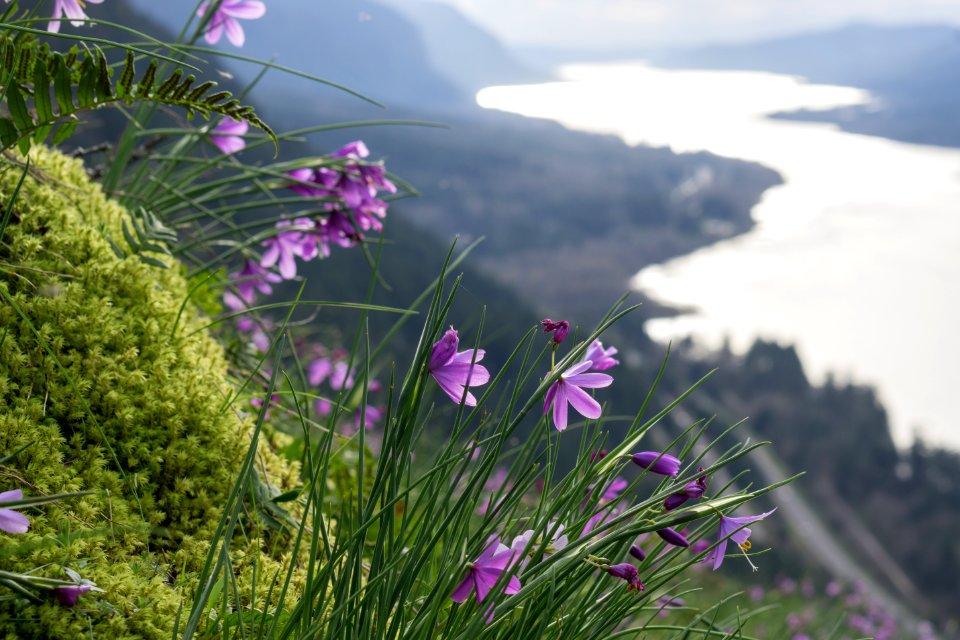 Nature, Munra point, United states