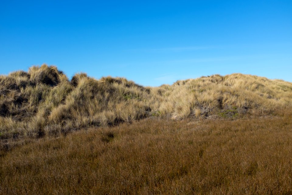 Pescadero, United states, California