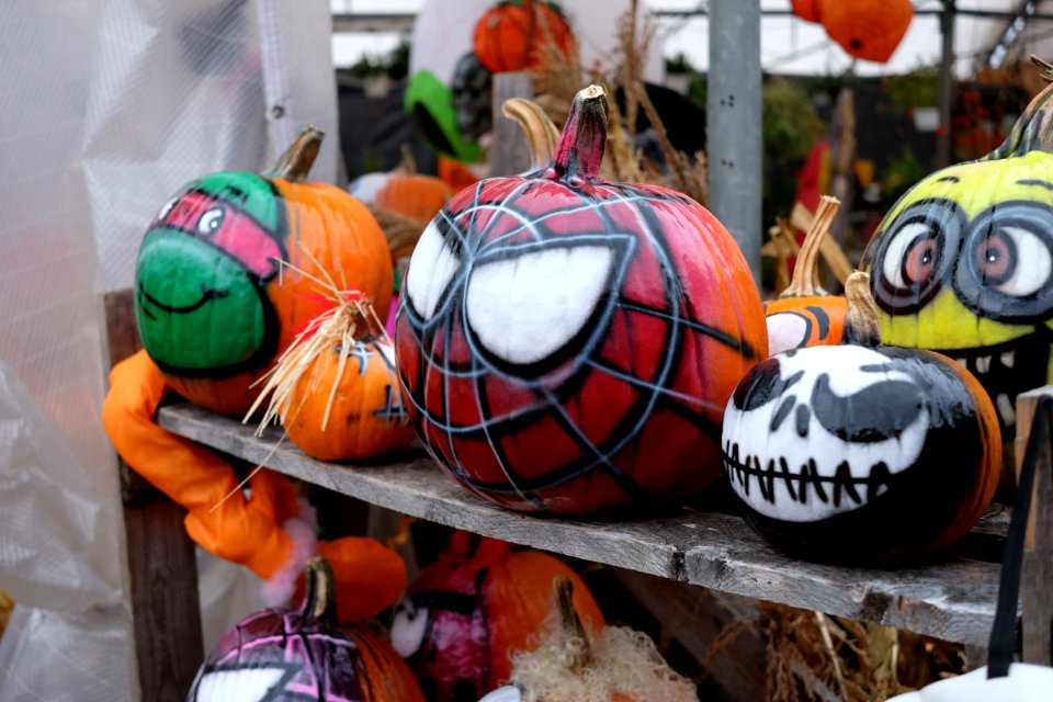 Pumpkins halloween