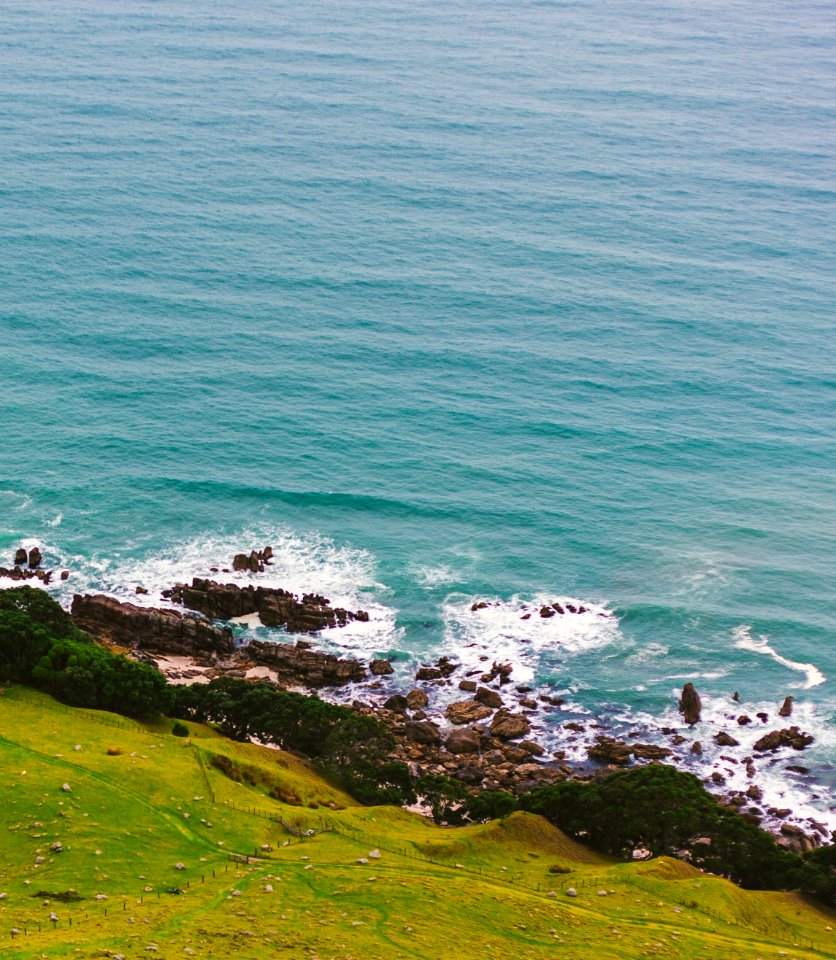The mount, Tauranga, New zeal