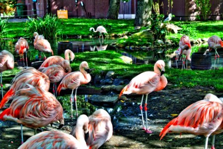 Calgary, Canada, Zoo