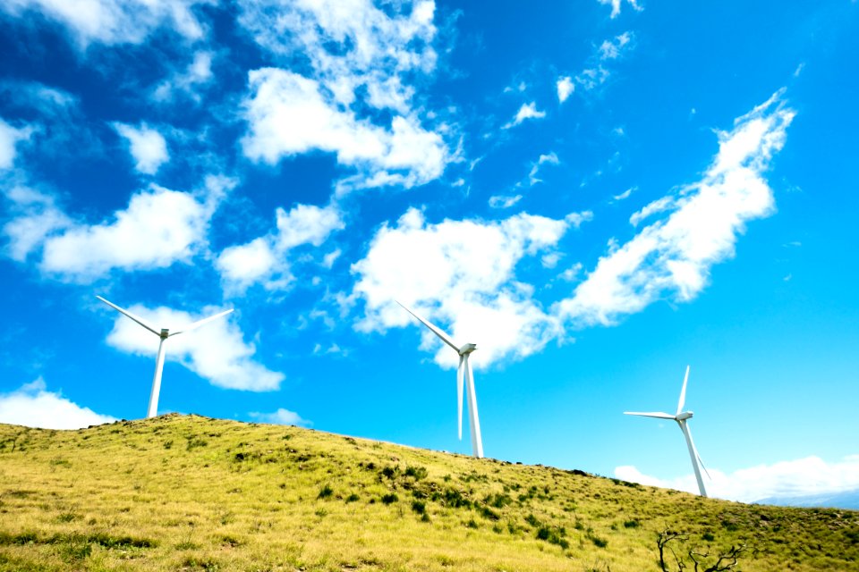 three windmills on top of the hill