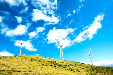 three windmills on top of the hill photo