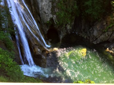 Reflection, Forest, Waterfall