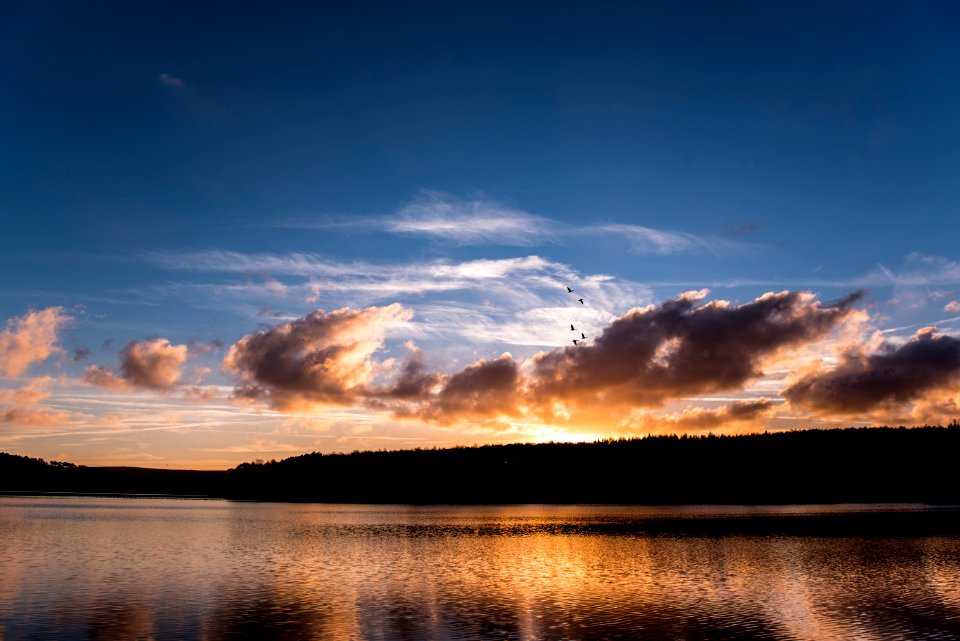 body of water under white sky photo