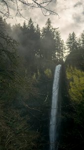 Waterfall, Pacific northwest, Trees