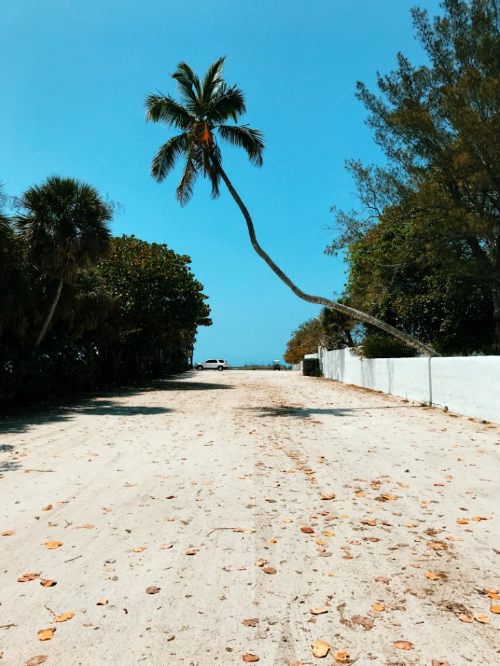 Boca Grand, United states, Paradise
