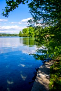 Italy, Lago di monate, Calm