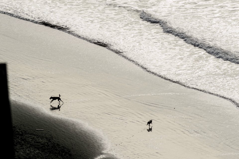 Fort funston, Golden gate national recreation area, San francisco