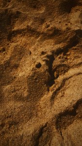Texture, Brown, Macro