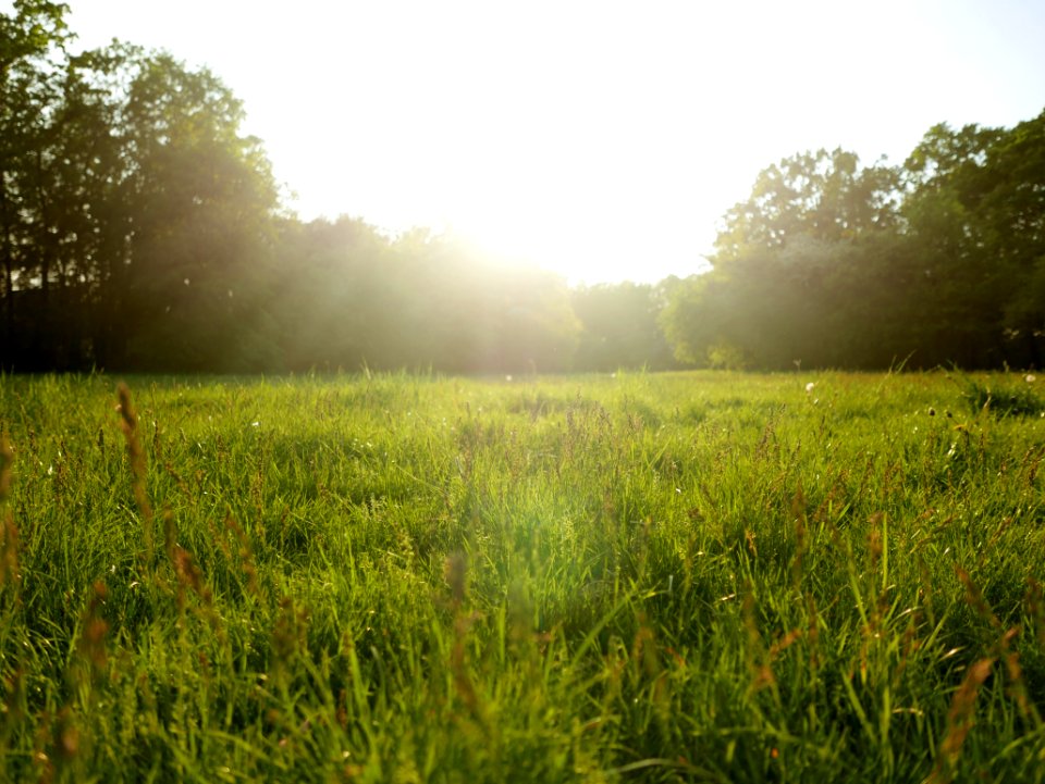 Park grabiszyski, Wrocaw, Pol