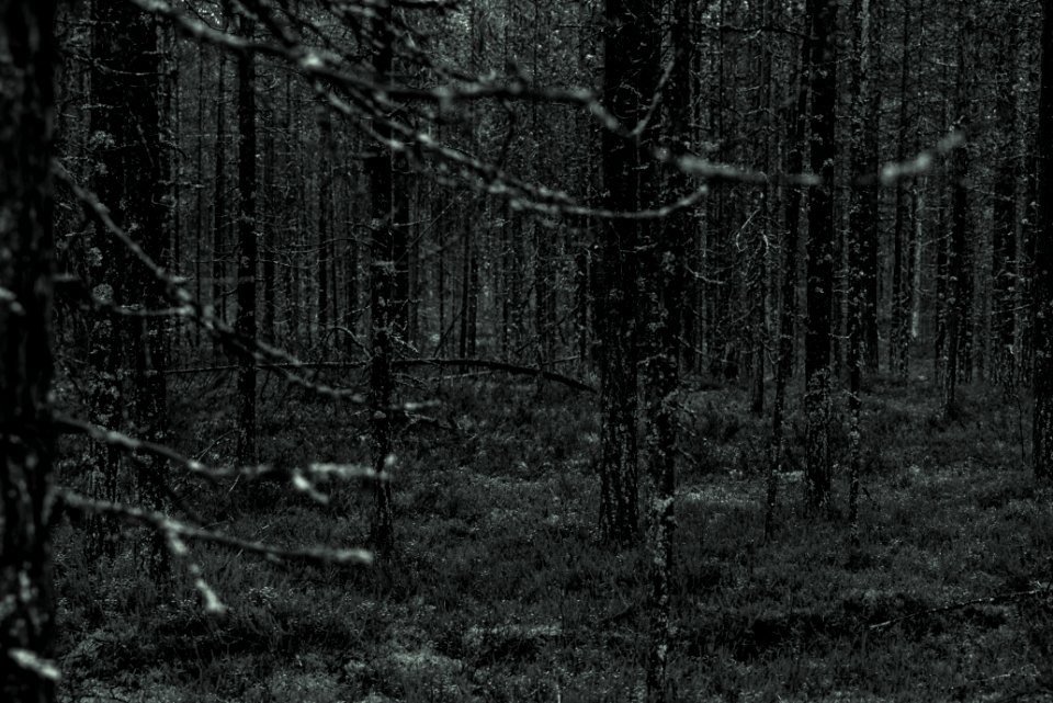 Hossa, Finland, Pattern