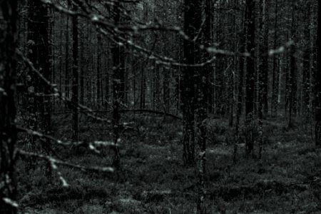 Hossa, Finland, Pattern