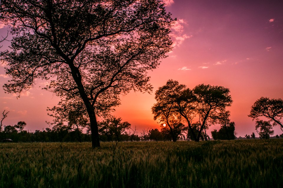 Sialkot, Pakistan, Perfect hour